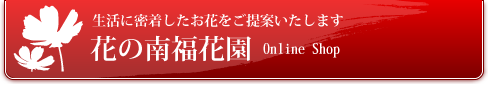 Ԃ̓앟ԉ